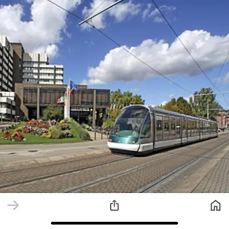 Le Carré Des Oiseaux Strasbourg