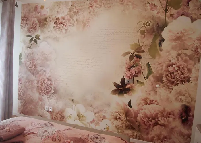 Le Carre Des Oiseaux Strasburg