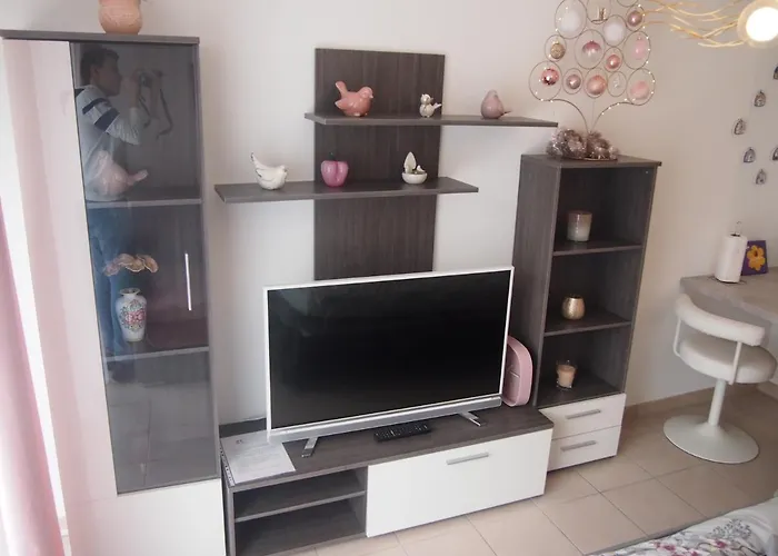 Le Carre Des Oiseaux Strasburg