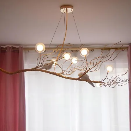 Le Carre Des Oiseaux