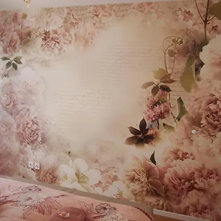 Le Carre Des Oiseaux 스트라스부르