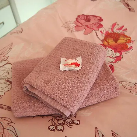 Le Carre Des Oiseaux 스트라스부르