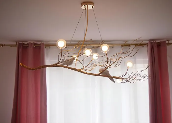 Le Carre Des Oiseaux